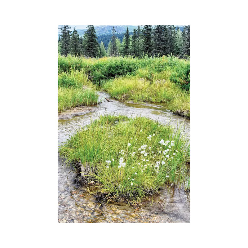 Alaska Marshland 1 Piece Wall Art on Canvas, 20.32 cm H x 30.48 cm W, Canvas