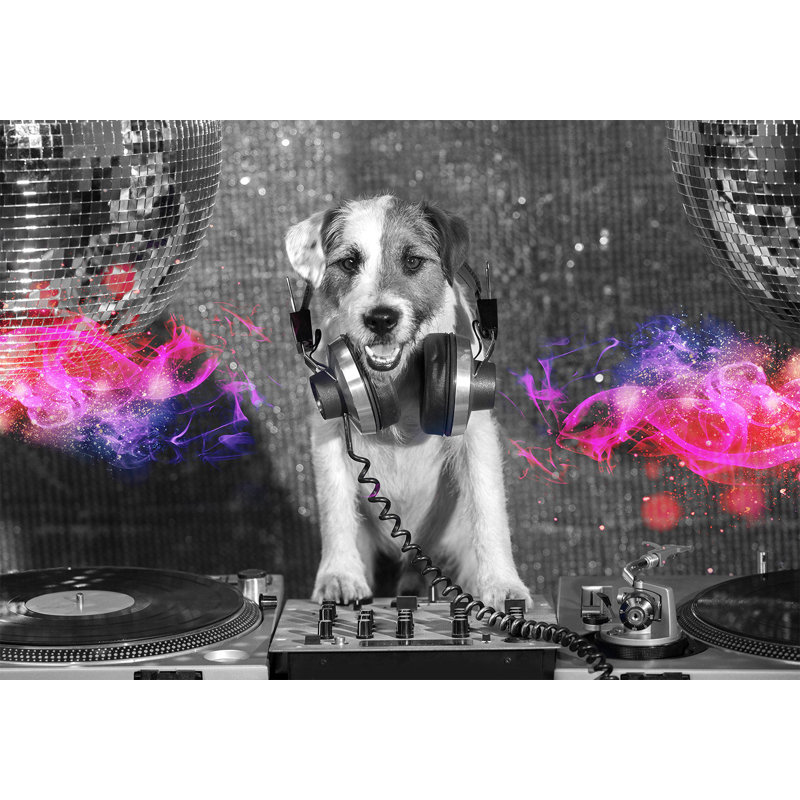 Papier peint animalier - Chien dj, L 41 po x l 59 po