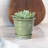 6" Annadale Planter, 2-pack