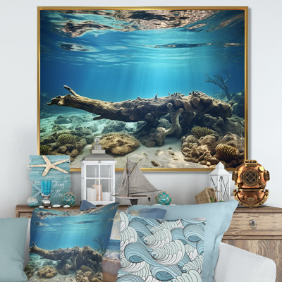 Corail au bord de la mer - plage et océan, impressions sur toile
