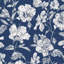 Hibiscus Haiti Flower Wallpaper-125420925