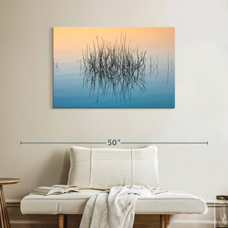 Alvord Marshland Illusions