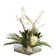 D & W Silks Protea Arrangement in Planter | Wayfair