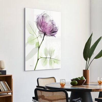 «Rose Dynasty 1» par Albert Koetsier - reproduction de photo non encadrée sur verre