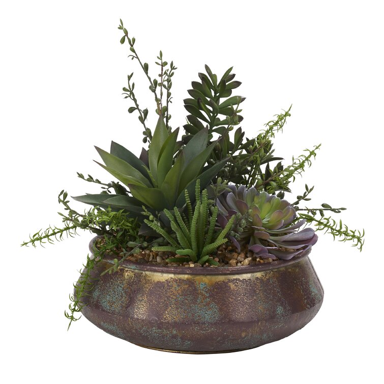 Assorted Succulents, Aloe And Jade Plant In Aged Copper Bowl
