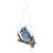 Hanging Jay on a Branch