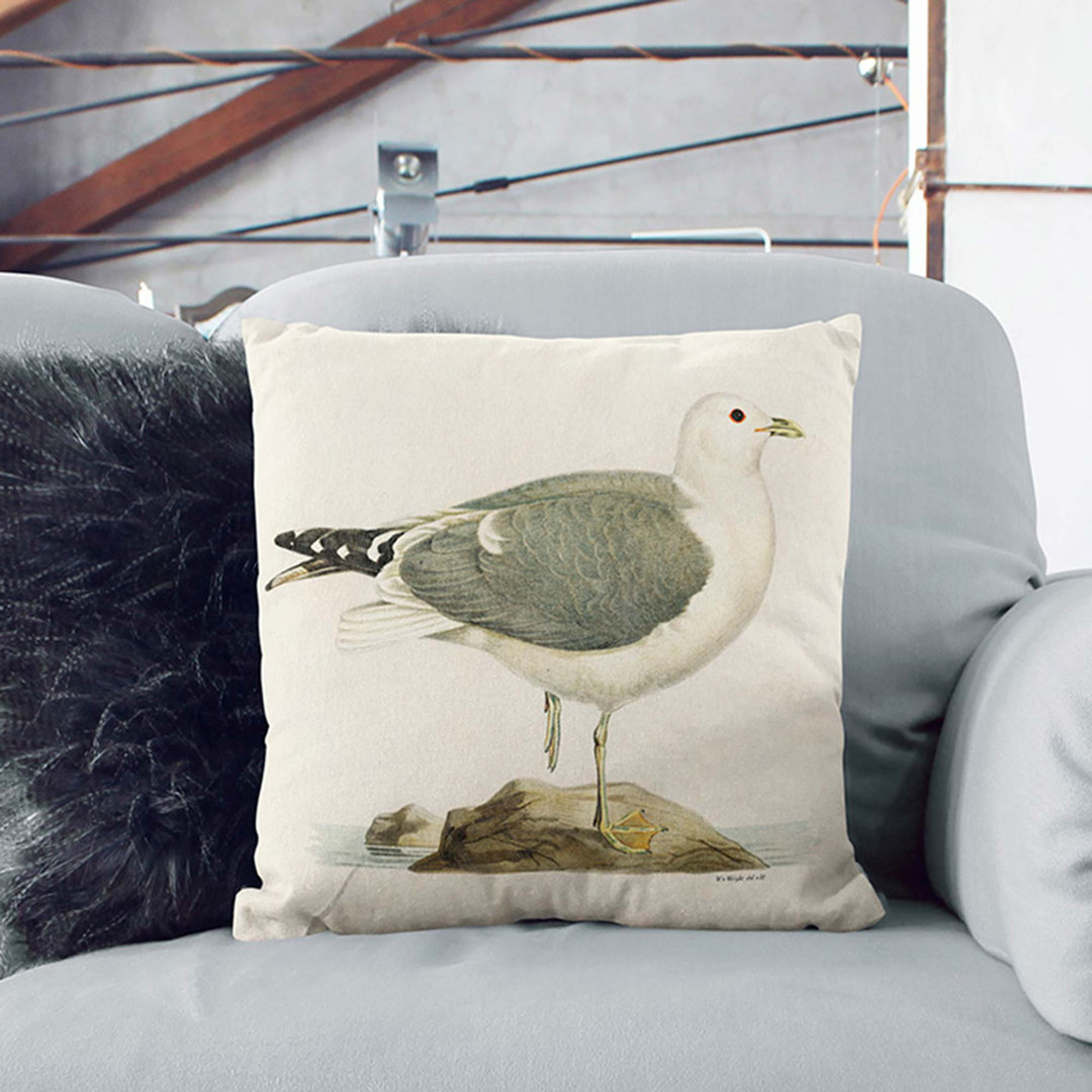 A Common Gull by Von Wright Cushion with Filling