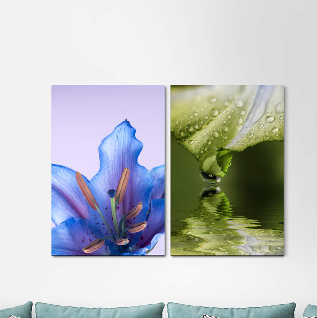 2-tlg. Leinwandbilder-Set - Fotografie „Orchid Blossom Summer Raindrops Green Stream Refreshing”