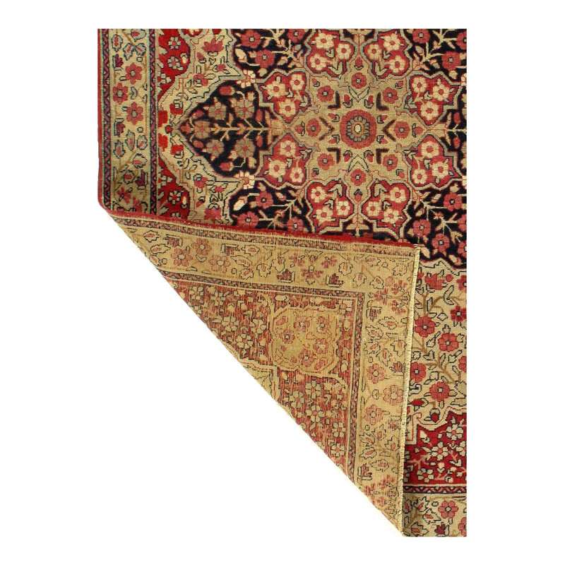 Oriental Area Rug