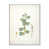 White Floater Frame