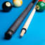Elite Pool Cue-71205569