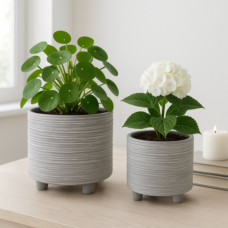 Jardinières à pattes texturées charmantes pour l'extérieur et l'intérieur Charmayne, Gris