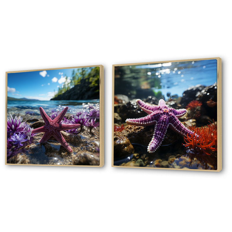 «Beachside Coral Starfish Photo I - Coastal Beach», ensemble de 2 reproductions d'art sur toile, Cadre flottant brun