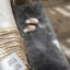 Tapis à poils longs Kellor-1159512322
