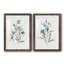 Linen Botanical III - ensemble de 2 reproductions d'art-1345068774-1345068771-1345068775