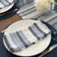 Aegean Stripe 21" Napkin-1606093196
