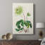 AntiqueFloralFolioVIII - Gallery Cavas sur mesure