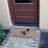 Fordland Non-Slip Outdoor Doormat