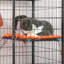 Portable Cat Cage