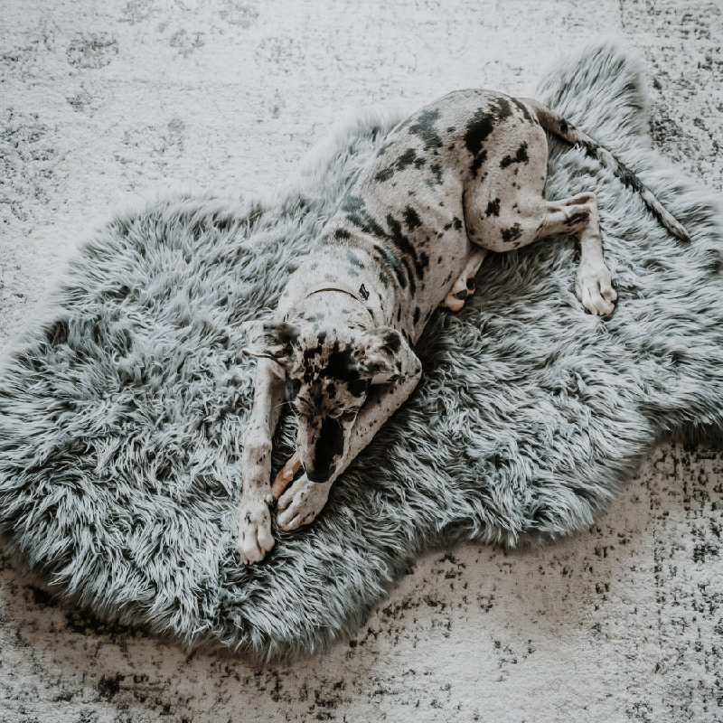 Lit orthopédique pour chien PupRug by Paw.com - Gris anthracite Curve, Gray
