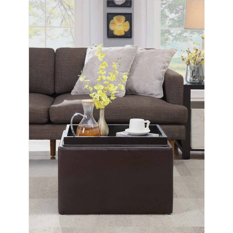 Blocton 57cm Wide Faux Leather Rectangle Solid Colour Standard Ottoman with Storage