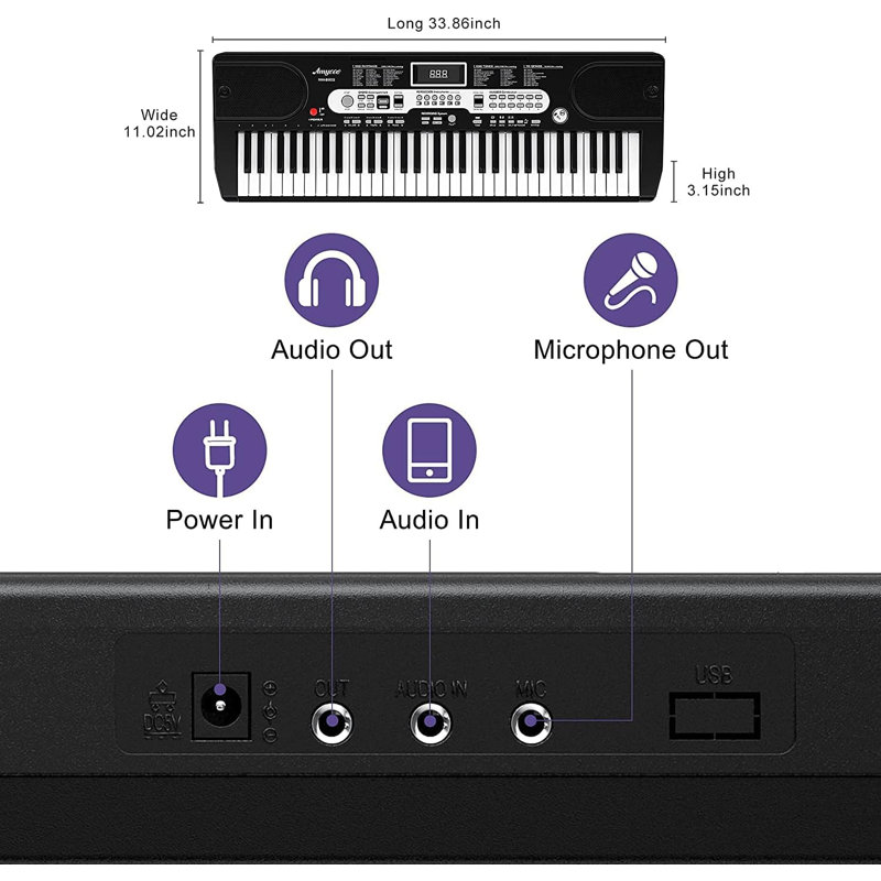61-Key Portable Keyboard Piano, with Detachable Microphone, Charger, Electric Keyboard Teaching