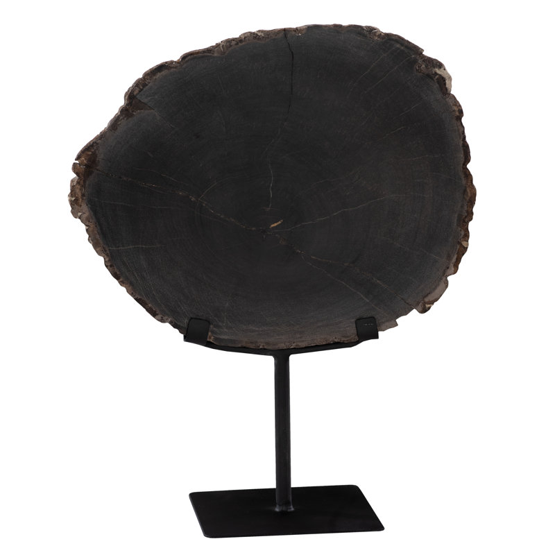 Elements Petrified Wood Slice On Stand
