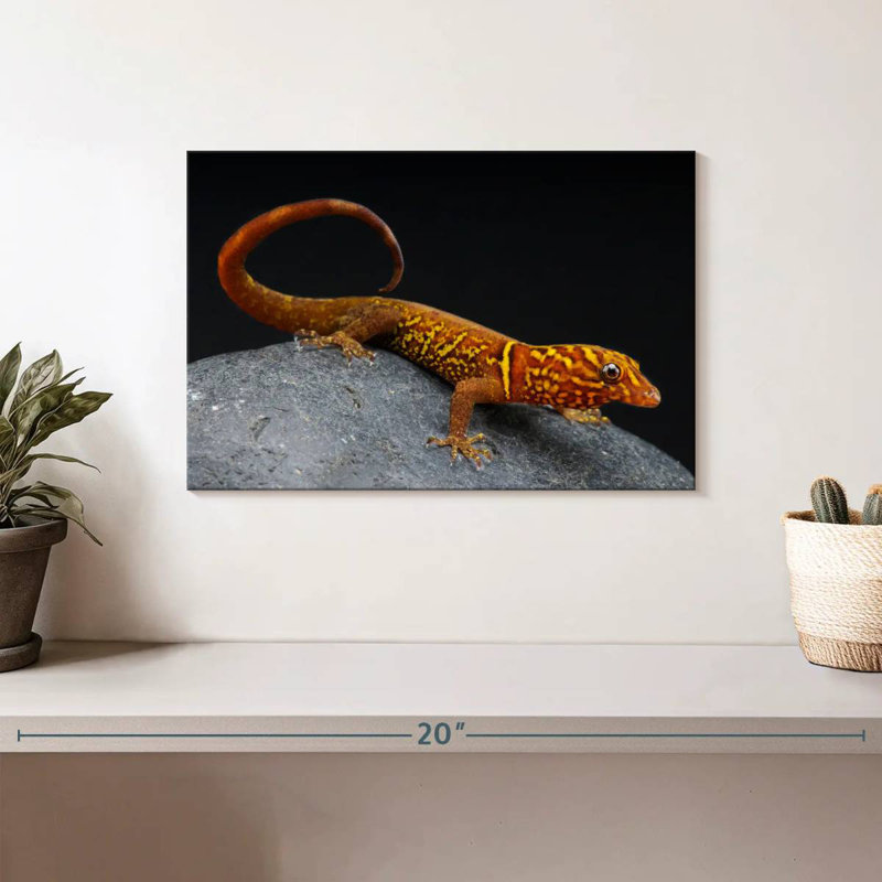 Brampt Gecko, 8'' H x 12'' W