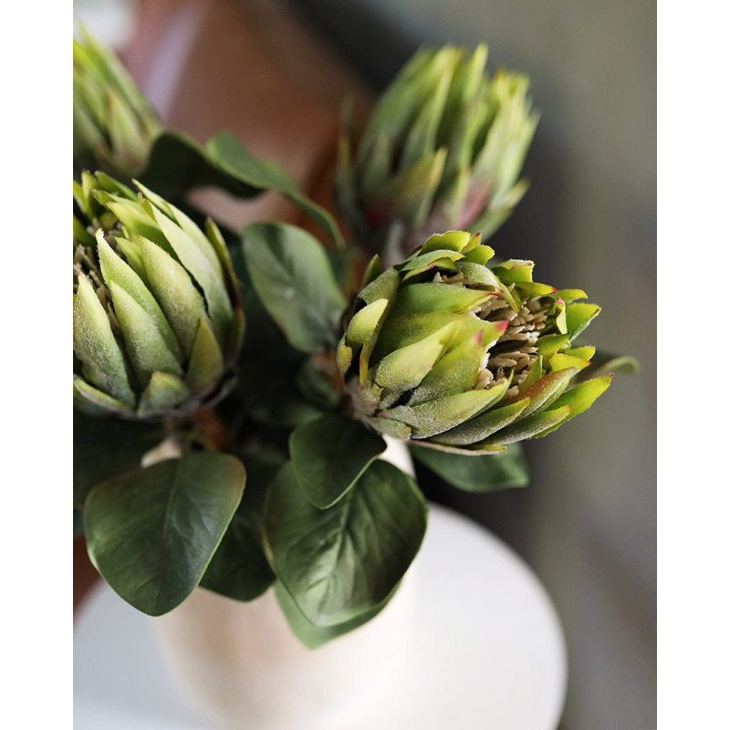 Green King Protea 23.5", Green