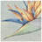 Nusa Botanic 9 3/4" x 9-3/4" Porcelain Wall & Floor Tile-88570883