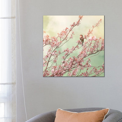 Bird With Cherry Blossom - Wrapped Canvas Print