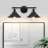 Balfor 2-Light Dimmable Matte Black Vanity Light