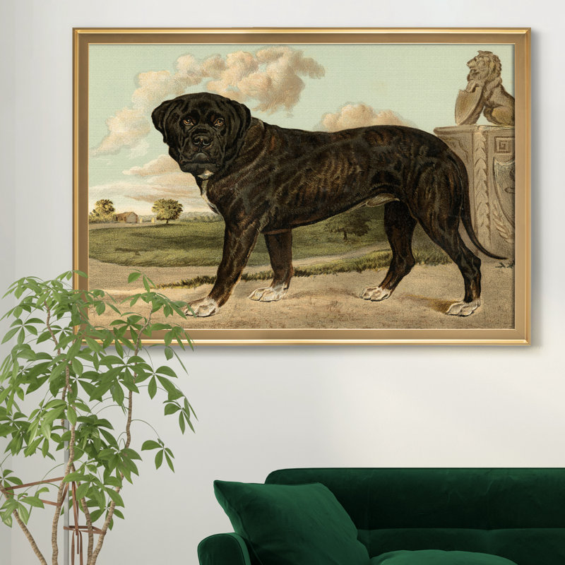 Mastiff - cadre photo, reproduction d'art sur toile, Doré, H 18,5 po x l 24,5 po x P 1,5 po