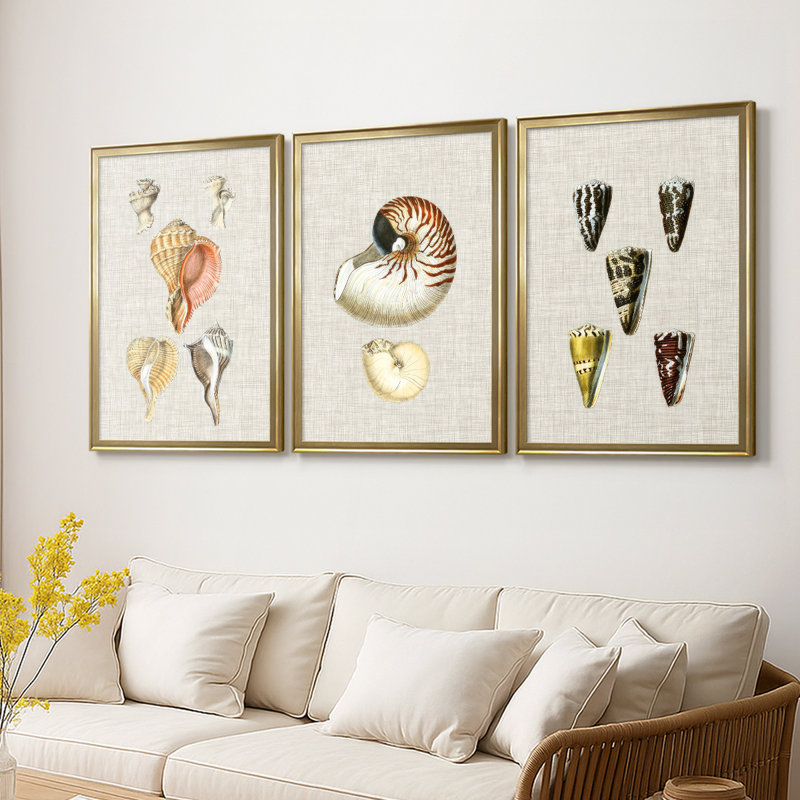 Coquilles antiques sur toile de lin VI - Toile tendue avec châssis sur mesure - 3 pièces, H 21 po x l 30 po, Doré