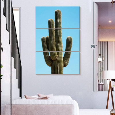 Harnek The Saguaro Cactus