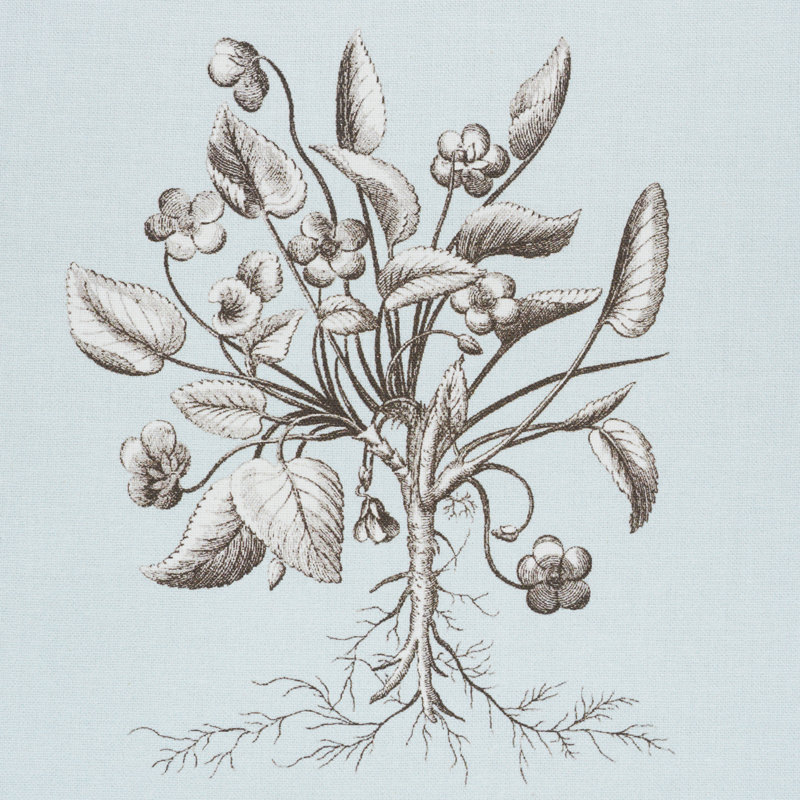 Cabot Botanical Fabric, Sky
