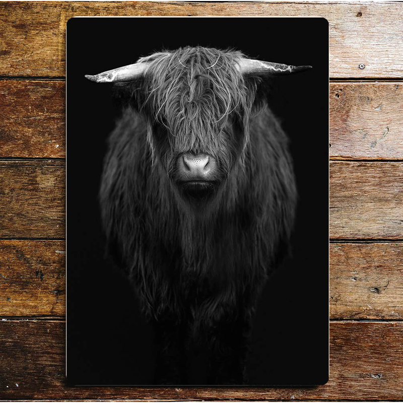 Wall Decor on Metal, 20cm H x 15cm W