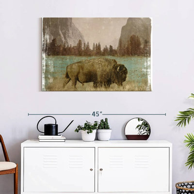 Bison dans le parc