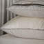Mélange de coton Knox doré