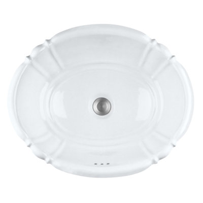 Proflo 14.5 " Vitreous China Oval Bathroom Sink and Overflow Hole