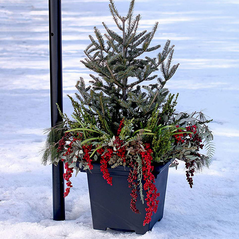 Pot à fleurs en plastique 