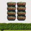 Ensemble de 24 pots de fleurs muraux-1138889781