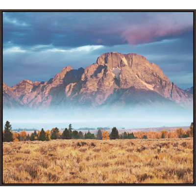 «Teton Grasslands VI» par David Brown, art mural encadré