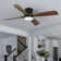 Hemion 54'' Large Dimmable Ceiling Fan with LED Lights and Remote Control, APP, Timer Setting, Memory