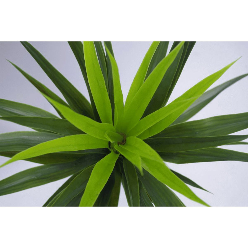 Anivea 90cm Faux Yucca Tree in Pot