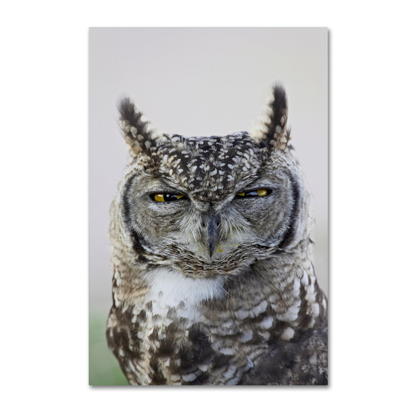 Ann «Grey Owl», reproduction de photo sur toile tendue Ann, H 19 po x l 12 po
