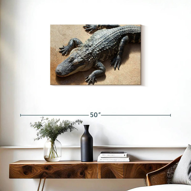 Alligator, 20" H x 30" W