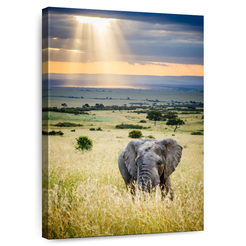 Brampt Savanna Elephant, 24" H x 16" W