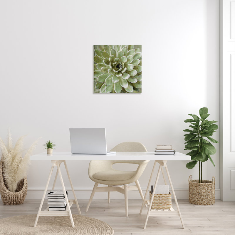 «Painted Botanical Succulent Bloom», impression, H 24 po x l 24 po