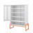 Versatile Double Door Shoe Cabinet with Innovative Design for Optimal Storage-1589094731